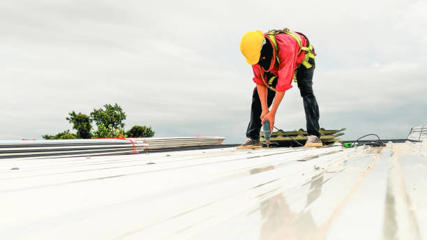 Best Storm Damage Roof Repair  in Roaring Spring, PA